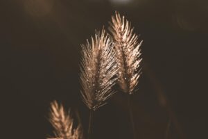 個人再生における給与所得者等の再生条件とは？