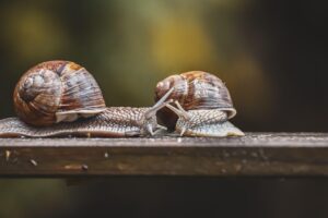 個人再生で住宅資金の特別条項を適用するメリットは？
