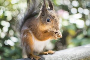 浪費を整理して借金を可能にする方法は？