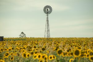 債務整理を誰にもバレない方法で行うにはどうすればいい？