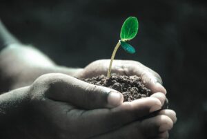 国民生活センターの借金相談はどこまで対応してくれる？